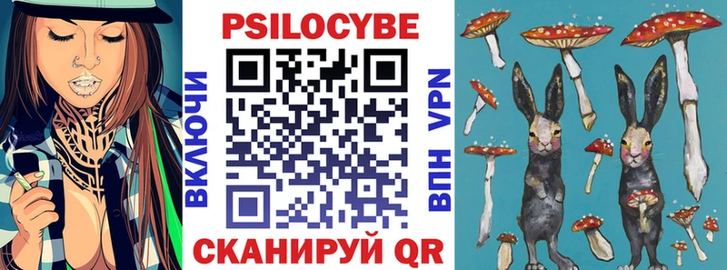 Псилоцибиновые грибы прущие грибы  Кимры 